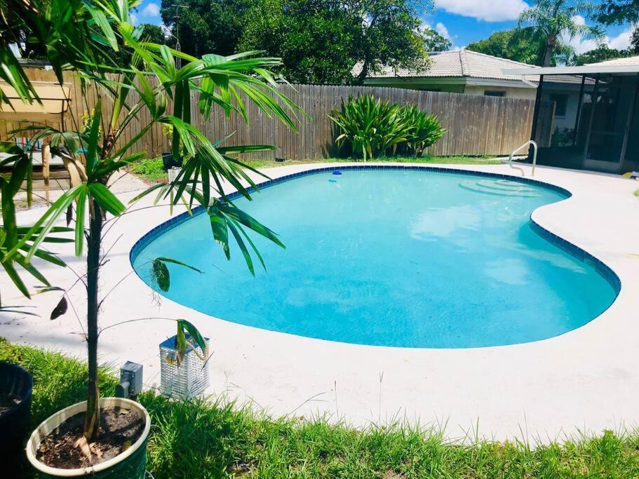 Paradise Hideaway Entire Guest Home Near Beach Clearwater Luaran gambar